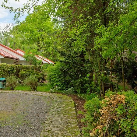 Noclegi Pod Debem U Jakuba Niepołomice Exterior foto