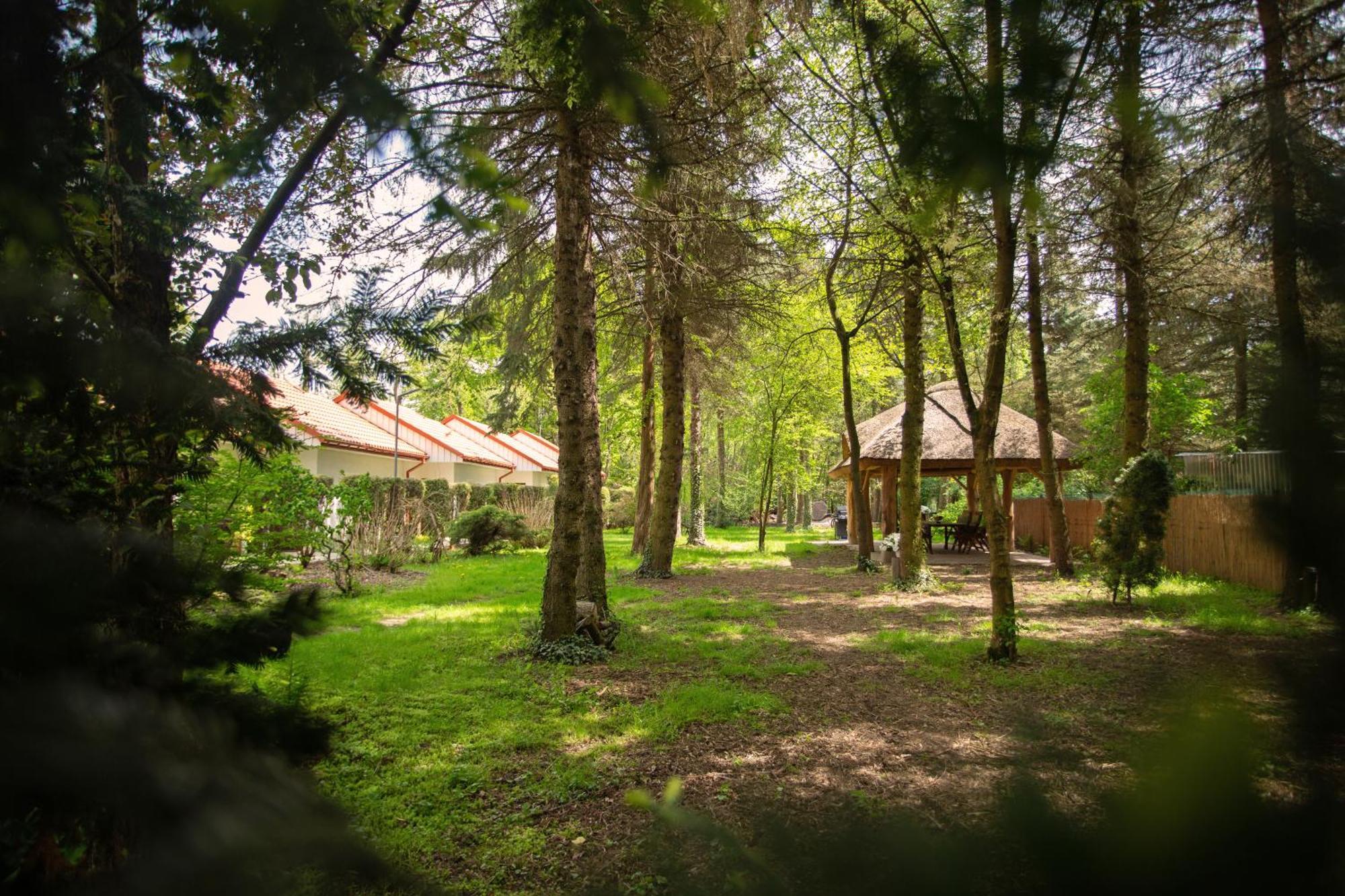 Noclegi Pod Debem U Jakuba Niepołomice Exterior foto