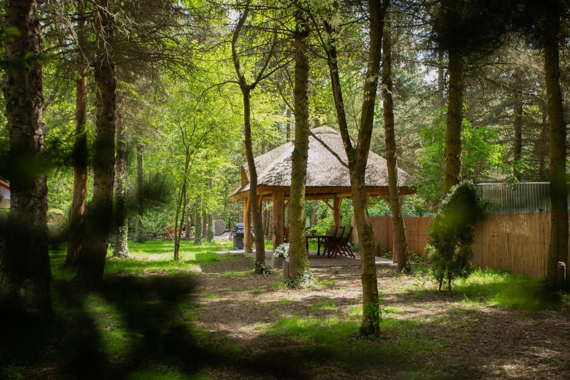 Noclegi Pod Debem U Jakuba Niepołomice Exterior foto